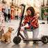 Best Scooters for Beginners: Your 2026 Buying Guide