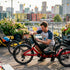 Top 5 Pairadice Trikes Alternatives 2026