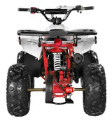 110cc Atv Fully Automatic Mini Size Sport ATV 4 Wheeler - ATV-3050B2