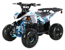 110cc Atv Fully Automatic Mini Size Sport ATV 4 Wheeler - ATV-3050B2