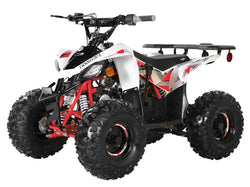 Coolster 125cc Atv Fully Automatic Mid Size Quad - ATV-3125R2