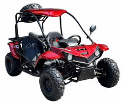 150cc Go Kart Full Size 2 Seater Go Kart Fully Automatic w/Reverse - T-REX 150CC