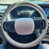 Coco Boxer Elite Electric Golf Cart Larger Size 4 Passenger Low Speed Vehicle With AC & Heat - BLACK