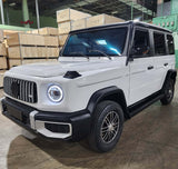 Coco Boxer Elite Electric Golf Cart Larger Size 4 Passenger Low Speed Vehicle With AC & Heat - WHITE