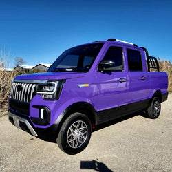 Custom LSV Four Passenger Electric Coco Truck Low Sped Vehicle Golf Cart With AC & Heat - Purple Custom Color