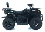 250cc EFI Four Wheeler 4 Stroke Utility Air Cooled Automatic Atv - CYBER ROAMER