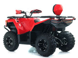 250cc EFI Four Wheeler 4 Stroke Utility Air Cooled Automatic Atv - CYBER ROAMER