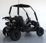 Trailmaster 200cc Go Kart Fully Automatic w/Reverse - Cheetah 6