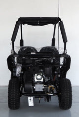Trailmaster 200cc Go Kart Fully Automatic w/Reverse - Cheetah 6