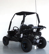 Trailmaster 200cc Go Kart Fully Automatic w/Reverse - Cheetah 6