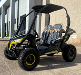 Trailmaster 200cc Go Kart Fully Automatic w/Reverse - Cheetah 6