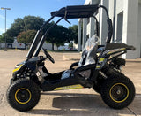 Trailmaster 200cc Go Kart Fully Automatic w/Reverse - Cheetah 6