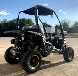 Trailmaster 200cc Go Kart Fully Automatic w/Reverse - Cheetah 6