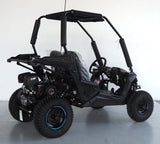 Trailmaster 200cc Go Kart Fully Automatic w/Reverse - Cheetah 6