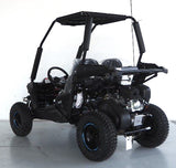 Trailmaster 200cc Go Kart Fully Automatic w/Reverse - Cheetah 6