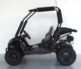 Trailmaster 200cc Go Kart Fully Automatic w/Reverse - Cheetah 6