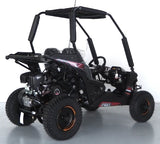 Trailmaster 200cc Go Kart Fully Automatic w/Reverse - Cheetah 6