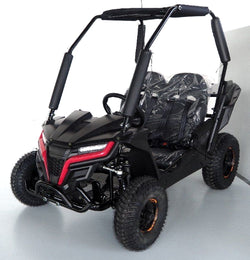 Trailmaster 200cc Go Kart Fully Automatic w/Reverse - Cheetah 6