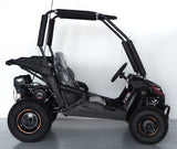 Trailmaster 200cc Go Kart Fully Automatic w/Reverse - Cheetah 6