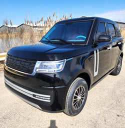 GSI - Electric 4 Door Coco Techno 60v Electric Golf Cart LSV With Rear Trunk - Black