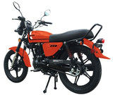 250 Majestic 4 Stroke Manual Dirt Bike w/ Electric & Kick Start