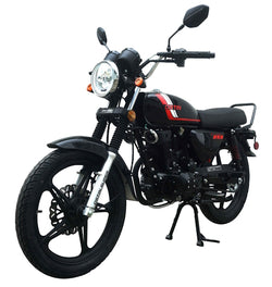 250 Majestic 4 Stroke Manual Dirt Bike w/ Electric & Kick Start