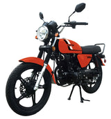 250 Majestic 4 Stroke Manual Dirt Bike w/ Electric & Kick Start