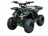 110cc RXR Sport Atv Fully Automatic With Reverse