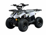 110cc RXR Sport Atv Fully Automatic With Reverse