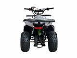110cc RXR Sport Atv Fully Automatic With Reverse