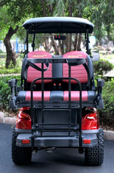 48V Electric Golf Cart 4 Seater Renegade Light Edition Utility Golf UTV - LIGHT EDITION - MATTE BLACK