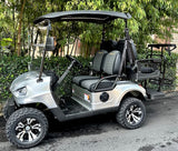 48V Electric Golf Cart 4 Seater Renegade Light Edition Utility Golf UTV - LIGHT EDITION - Charcoal