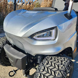 48V Electric Golf Cart 2 Seater Renegade Light Edition Utility Golf UTV W/Utility Box - SILVER