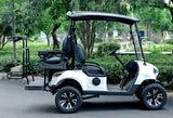 48V Electric Golf Cart 4 Seater Renegade Light Edition Utility Golf UTV - LIGHT EDITION - WHITE