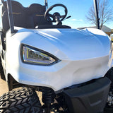 48V Electric Golf Cart 4 Seater Renegade Light Edition Utility Golf UTV - LIGHT EDITION - SILVER