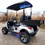 48V Electric Golf Cart 2 Seater Renegade Light Edition Utility Golf UTV W/Utility Box - SILVER