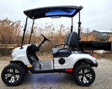 48V Electric Golf Cart 2 Seater Renegade Light Edition Utility Golf UTV W/Utility Box - SILVER