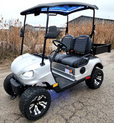 48V Electric Golf Cart 2 Seater Renegade Light Edition Utility Golf UTV W/Utility Box - SILVER