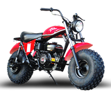 Trailmaster Mini Bike 200cc MB200 Storm Cloud Mini Bike