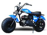 Trailmaster Mini Bike 200cc MB200 Storm Cloud Mini Bike