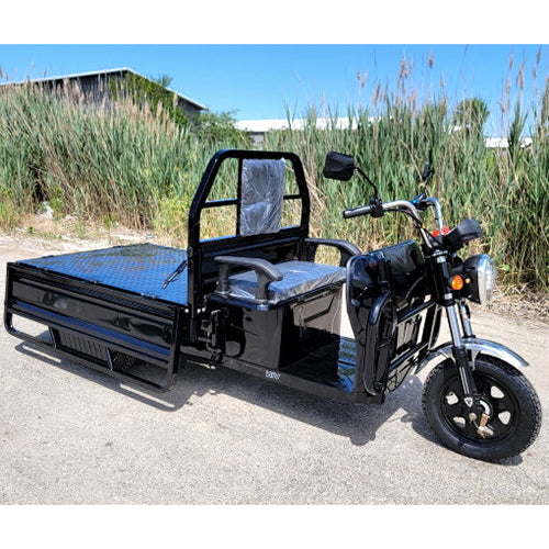 GSI Electric Powered Cargo Truck Tuck Tuck Rickshaw 1000 Watt