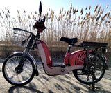 Chopstick 48 Volt 500W Electric Bicycle Scooter Moped Bike With Pedals - BLW CHOPSTICK - 182