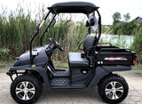 Brand New Gas Golf Cart UTV Hybrid Linhai Big Hammer 200 VX Side by Side UTV - BLACK