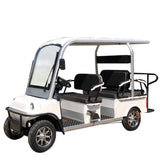 6 Seater Electric Golf Cart Limo LSV Low Speed Vehicle Six Passenger - 60v Skyline Transporter