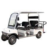 Electric Golf Cart Limo LSV Low Speed Vehicle Six Passenger - 60v Skyline Transporter