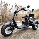 2000W Electric Fat Tire Trike 60V 3 Wheel Scooter Moped Bike w/ Golf Rack Like CityCoco Bike - CT-3G - BLACK