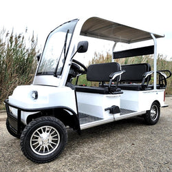GSI - Electric Golf Cart Limo LSV Low Speed Vehicle Six Passenger - 60v Skyline Transporter